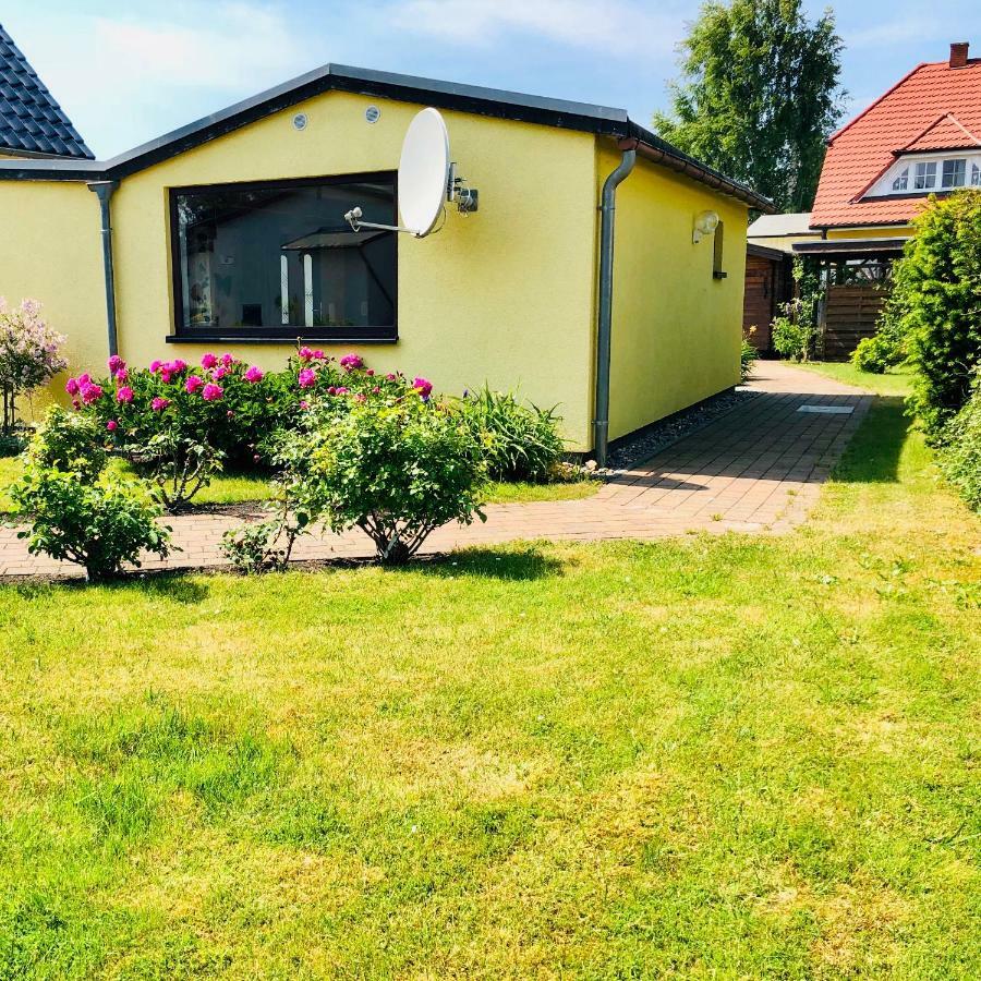 Little Rose Villa Zingst Exteriör bild